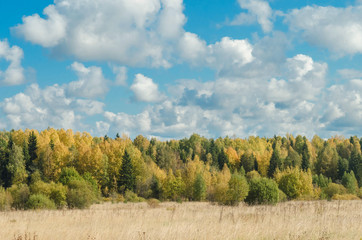 Autumn forest and blue sky. Russian nature