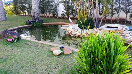 Lago das carpas