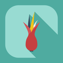 Flat modern design with shadow icons onion