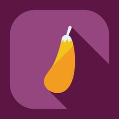 Flat modern design with shadow icons eggplant