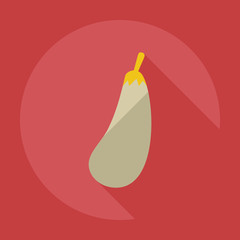 Flat modern design with shadow icons eggplant