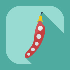 Flat modern design with shadow icons beans