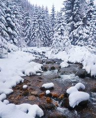 Winter landscape