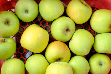 Green Apple Background