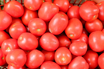 Group of fresh tomatoes