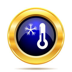 Snowflake with thermometer icon