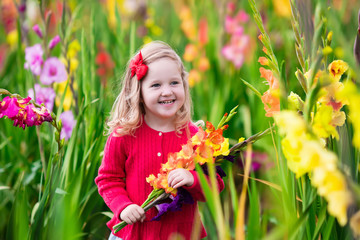 Child picking fresh gladiolus flowers