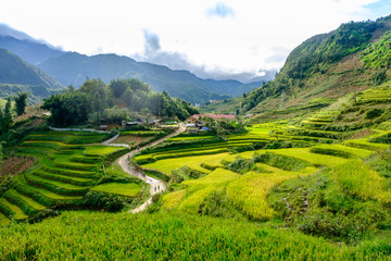 Fototapeta na wymiar Rice fields on terraced in rainy season at SAPA, Lao Cai, Vietna