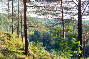 Fototapeta premium Rock River Forest, horizon