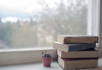 Old Books In Countryhouse  At Window-Sill