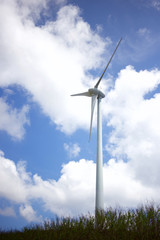 Fototapeta na wymiar 風力発電の風車