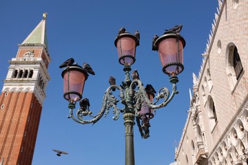 Fototapeta na wymiar Venedig Tauben auf Laterne