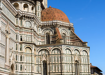 Fototapeta premium The dome of Florence Cathedral