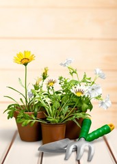 Gardening Equipment.