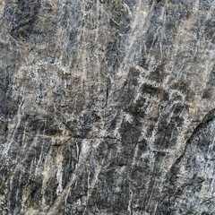 Fototapeta premium Ancient Primitive Petroglyphs on Black Rock Stone