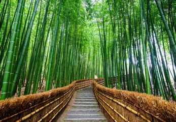 Stickers pour porte Salle de bain Chemin de la forêt de bambous, Arashiyama, Kyoto, Japon