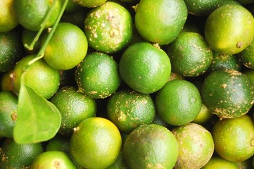 Calamondin or lemonsito citrus background image