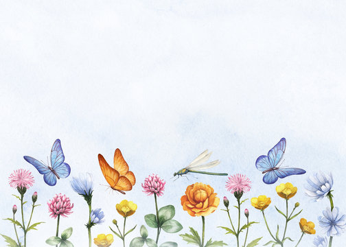 Watercolor wild flowers. Summer background