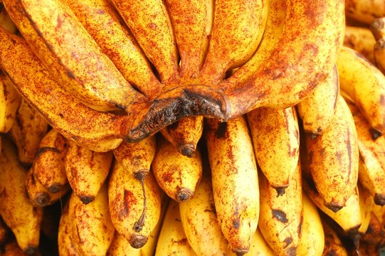 Ripe bananas with spots photo