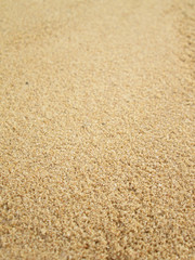 Fototapeta na wymiar Sand background. Closeup sand. Beach sand in the summer