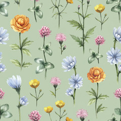 Wild flowers illustration. Watercolor seamless pattern