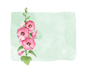 Watercolor illustration of mallow flower