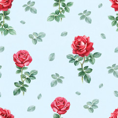 Naklejka premium Watercolor rose flowers illustration. Seamless pattern