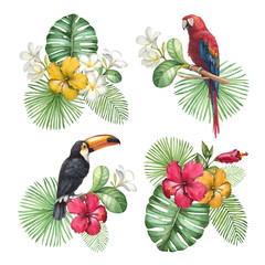 Watercolor illustrations of tropical flowers and birds - obrazy, fototapety, plakaty