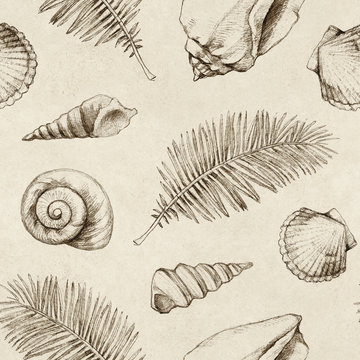 Seamless pattern with drawings of sea shells and palm leaves