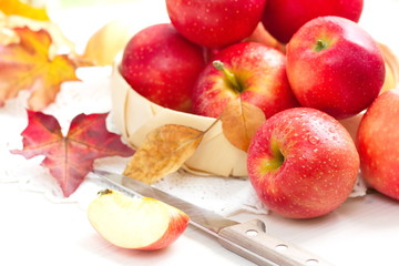 Red ripe apples in autumn