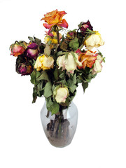 dead roses bouquet