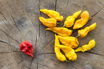 Many yellow hot peppers with a single red one on a wooden background viewed from the top.