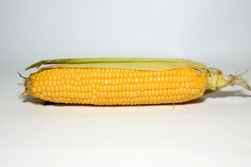 Ripe fruit of corn on over white