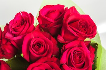 Abstract background of flowers. Close-up.