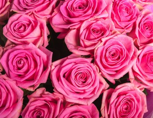 Abstract background of flowers. Close-up.