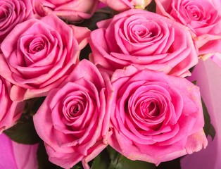 Abstract background of flowers. Close-up.