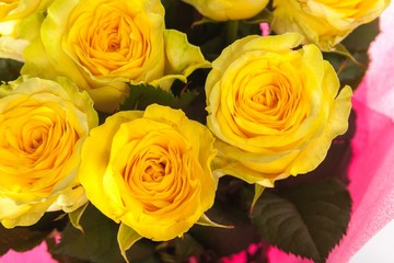 Abstract background of flowers. Close-up.