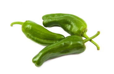 Three green capsicum or sweet pepper on white background