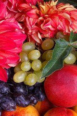 Fresh fruits and colorful flowers