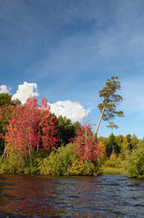 Obraz premium colorful autumn forest river lake sky clouds