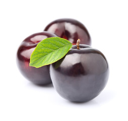 Ripe plums with leaves