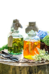Healing herbs in bottles as natural medicine