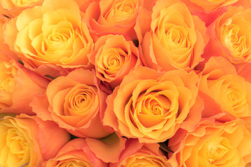 Obraz na płótnie Canvas Bunch of Orange Roses Top