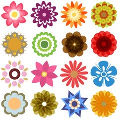 Fototapeta na wymiar Multiple flowers - various colors 