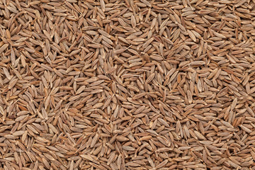 Organic Cumin seed (Cuminum cyminum)  closeup background texture.