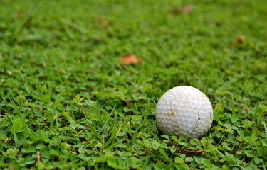 Golf background