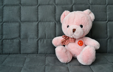 Pink bear doll wait someone