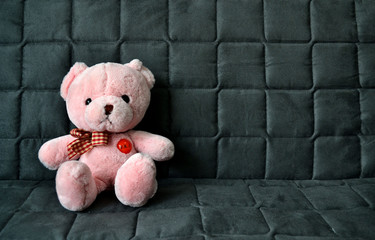 Pink bear doll wait someone