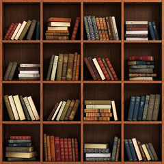 Library bookshelf full of books. Books on the wood shelf. © sveta