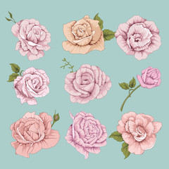 Isolated vector set of flowers